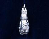 Peter Rabbit - Cazenovia Abroad