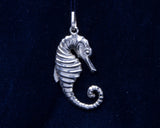 The Sea Horse - Cazenovia Abroad