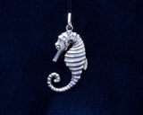 The Sea Horse - Cazenovia Abroad