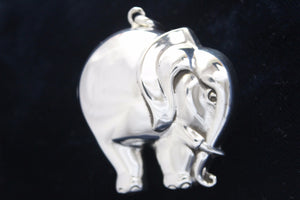 The Rollie Pollie Elephant - Cazenovia Abroad